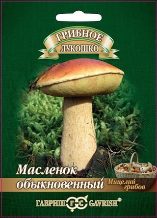 Мицелий Масленок Обыкновенный на зерновом субстрате 15мл Гавриш/ЦВ 1/5