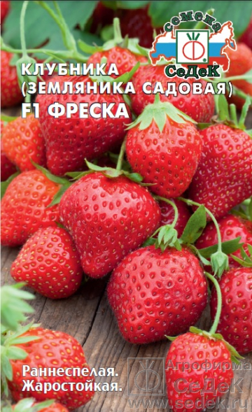 Клубника Фреска F1 раннеспелая, ремонтант, ягоды темно-красные 15шт Седек/ЦВ