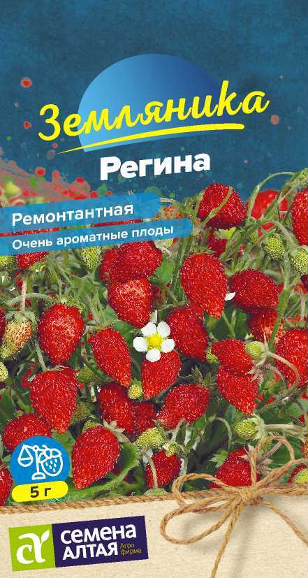 Земляника Регина ремонтантная, среднеранняя, безусая 0,04гр СА/ЦВ