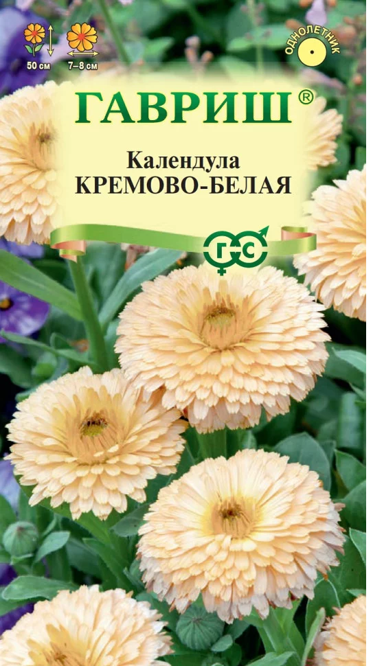 Календула Кремово-белая, лекарств, махр,до 60 см однол 0,3гр Гавриш/ЦВ 1/10