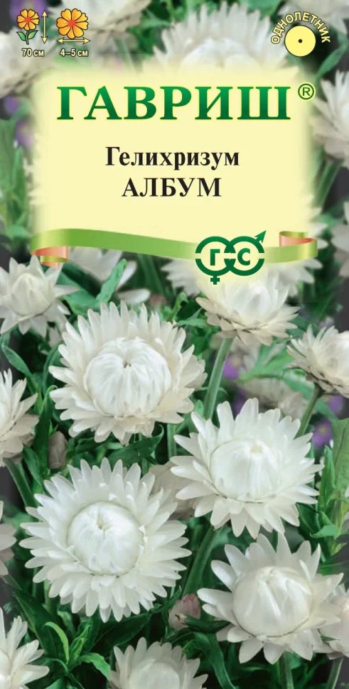 Гелихризум Албум белый, 70см, 0,1гр Гавриш/ЦВ 1/10