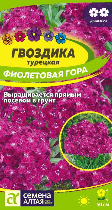 Гвоздика турецкая Фиолетовая Гора фиолетовая, 50см, двул 0,1гр СА/ЦВ