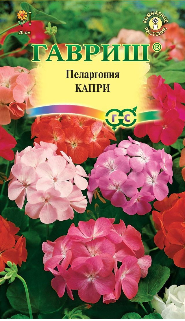 Пеларгония Капри F2 зональная, смесь, 20см 4шт Гавриш/ЦВ