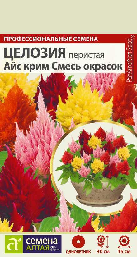 Целозия перистая Айс Крим Смесь Окрасок карлик, 30см, однол 10шт СА/ЦВ
