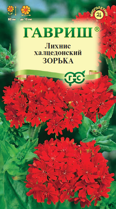 Лихнис Зорька халцедонский, огненно-красный, 80см, мног 0,1гр Гавриш/ЦВ