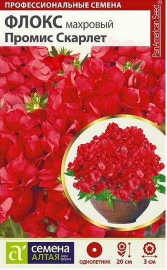 Флокс махр Промис Скарлет алый, 20см, однол 5шт СА/ЦВ