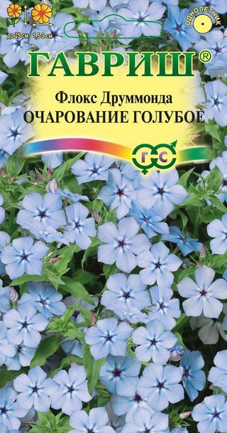 Флокс друммонди Очарование Голубое крупноцв, низкор, до 25см, однол 0,05гр Гавриш/ЦВ