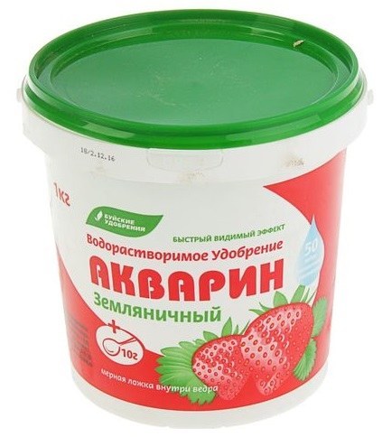 Клубника Земляника 0,5кг ведро Акварин Буй 1/12