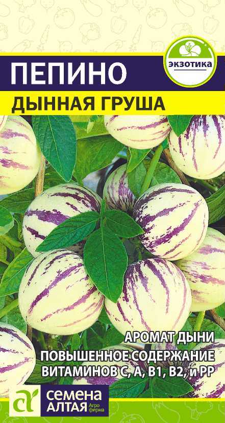 Пепино (Дынная Груша) 5шт СА/ЦВ многолетний
