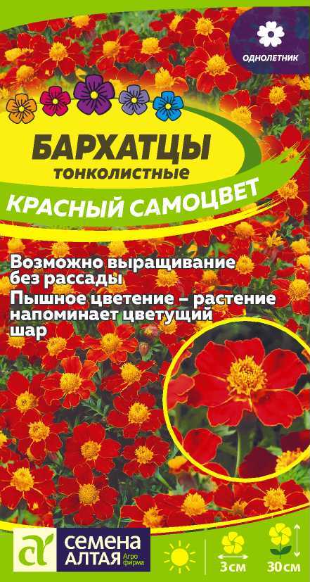 Бархатцы Красный Самоцвет тонколист, оранжево-красные с желтым центром, 30см, однол 0,1гр СА/ЦВ