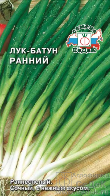 Лук Батун Ранний раннеспелый 1гр Седек/ЦВ