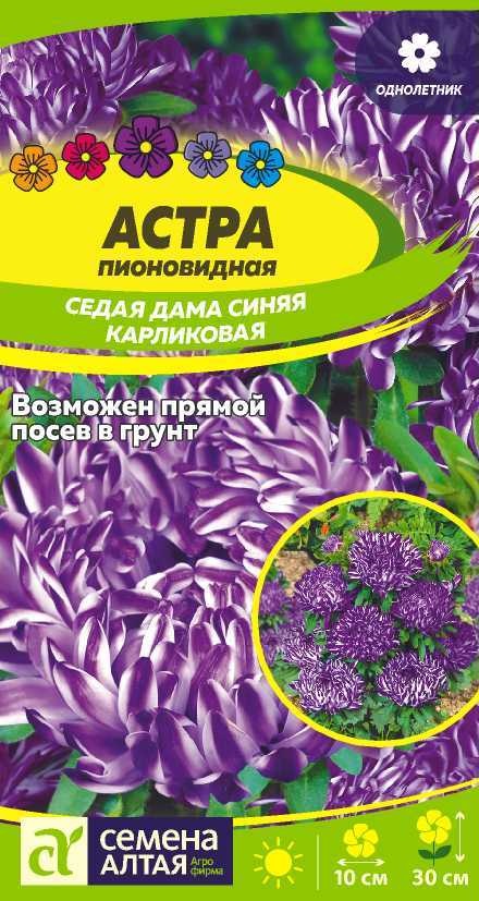 С Ц Астра Седая Дама Синяя карликовая, пионовид, 25-30см, однол 0,1гр/0,05гр СА/ЦВ