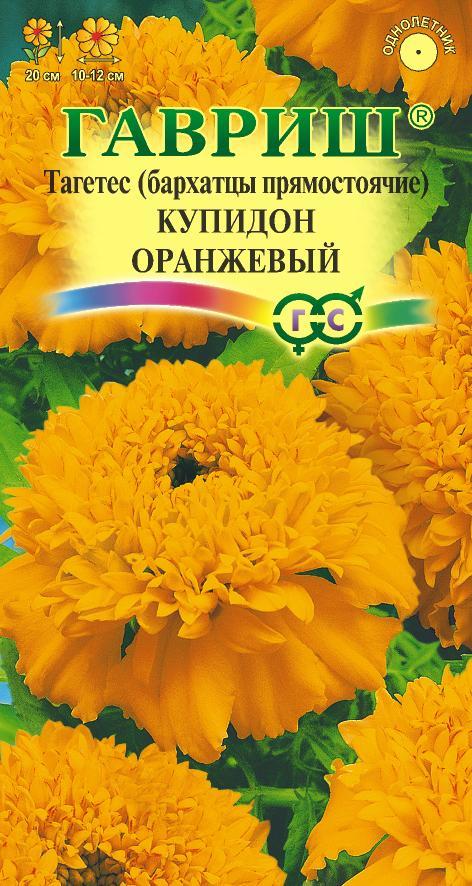 Бархатцы Купидон Оранжевый прямост, 20см, однол 0,05гр Гавриш/ЦВ