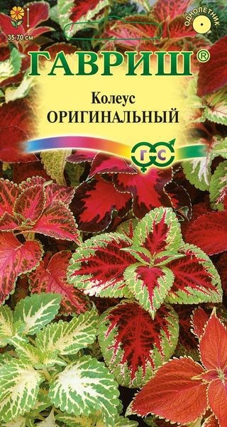 Колеус Оригинальный смесь, 35-70см, однол 0,03гр Гавриш