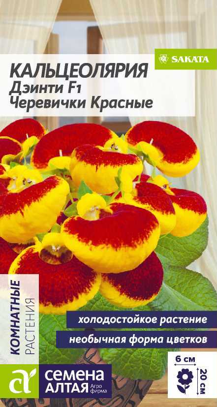 Кальцеолярия Дэинти F1 Черевички красные 18-20см 3шт СА/ЦВ