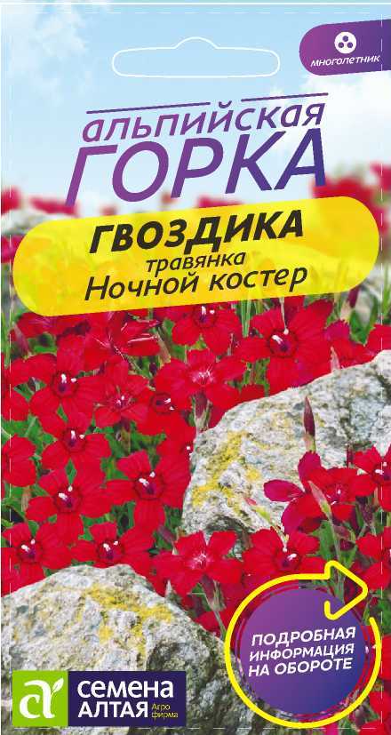 Гвоздика травянка Ночной Костер розово-малиновая, 15см, мног 0,1гр СА/ЦВ 1/10