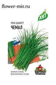 Лук на зелень шнитт Чемал ХИТ 0,5гр Гавриш/ЦВ