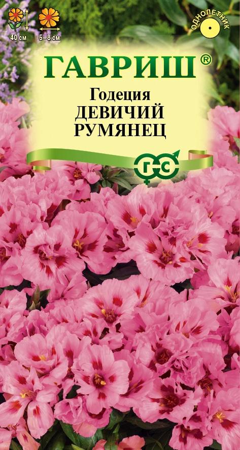 Годеция Девичий Румянец махровая, нежно-розовая, 40см, однол 0,05гр Гавриш/ЦВ