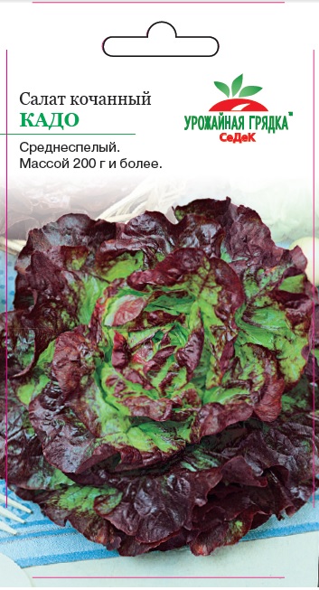 Салат Кадо кочанный, среднеспелый 1гр Седек/БП