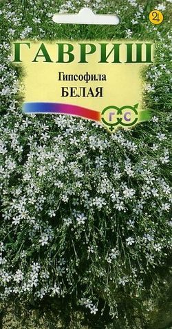 Гипсофила ползучая Белая 15см, мног 0,05гр Гавриш/ЦВ