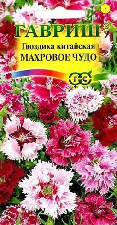 Гвоздика китайская Махровое Чудо смесь, до 20-30см, однол 0,1гр Гавриш/ЦВ