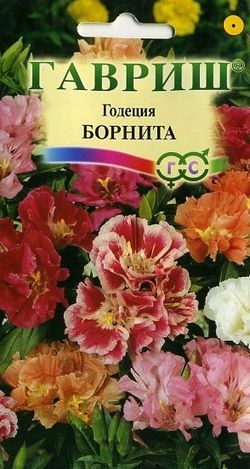 Годеция Борнита махровая, низкорослая смесь, 20-25см 0,05гр Гавриш/ЦВ