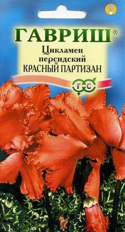 Цикламен персидский Красный Партизан красный, 15-20см 3шт