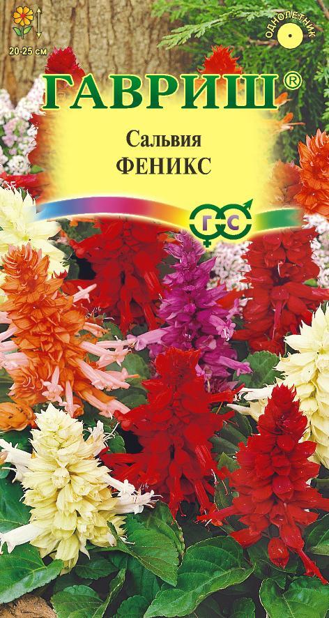 Сальвия Феникс смесь, 20-25см, однол 0,05гр Гавриш/ЦВ