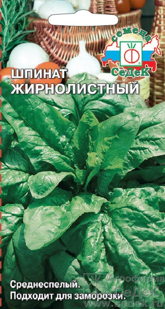 Шпинат Жирнолистный раннеспелый 2гр Седек/ЦВ