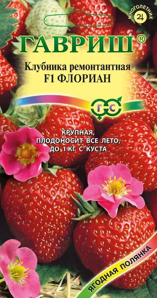 Клубника Флориан F1 ремонтант, крупноплодная, ягоды красные 5шт Гавриш/ЦВ