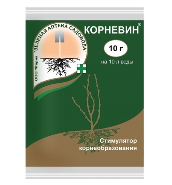 Корневин 10гр 1/250