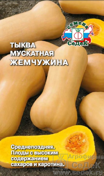Тыква Жемчужина мускатная, среднепоздняя, плетистая 1гр Седек/ЦВ