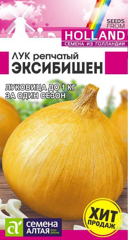 Лук Репчатый Эксибишен салатный, среднепоздний, сладкий вкус (Голландия) 0,2гр СА/БП