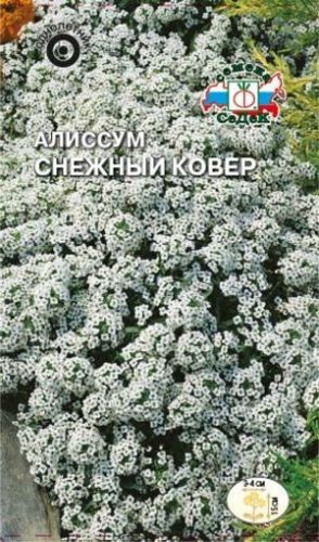 Алиссум Снежный Ковер белый, медовый аромат, до 15см, однол 0,1гр Седек/ЦВ