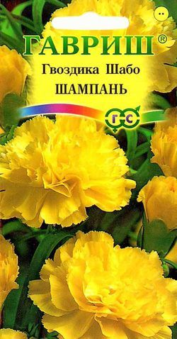Гвоздика шабо Шампань махровая, золотисто-желтая, 50см, двул 0,1гр Гавриш/ЦВ