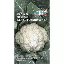Капуста Цветная Белая Головушка среднеспелая 0,5гр Седек/ЦВ