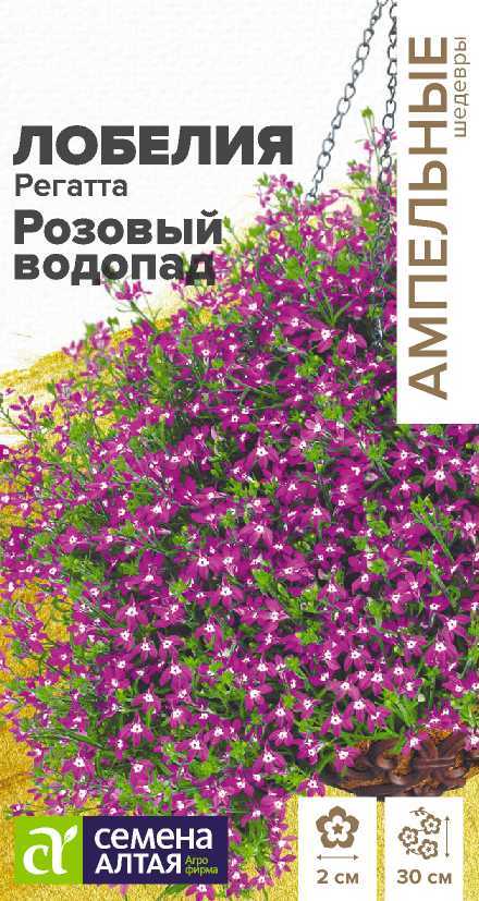 Лобелия Регатта Розовый Водопад ампельная, фиолетово-розовый однолетник, 30см 5шт СА/ЦВ