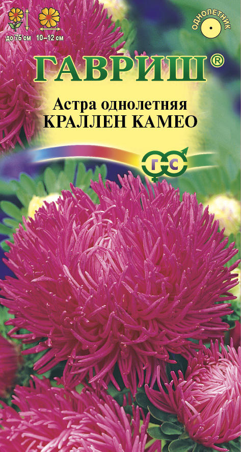 С Ц Астра Краллен Камео когот, махр, темно-розовая, 50-60см, однол 0,3гр Гавриш/ЦВ