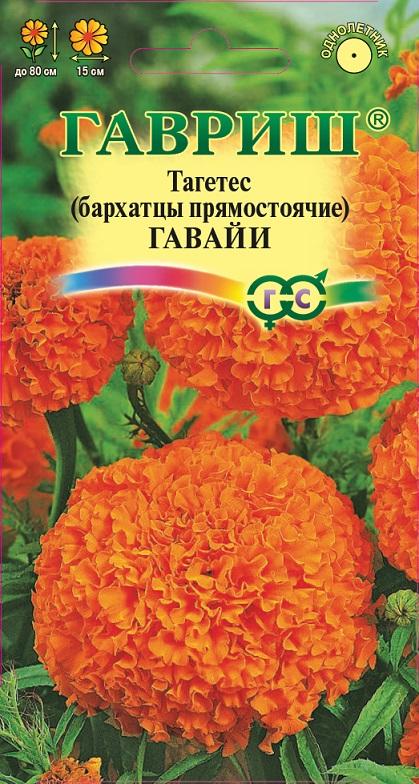 Бархатцы Гавайи прямост, густомахр, оранжевые, до 80см, однол 0,3гр