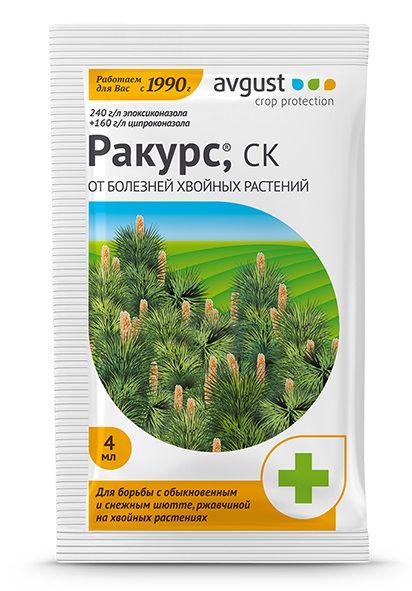 Ракурс 4мл 1/200