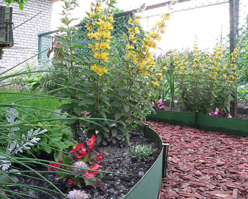 Бордюрная лента 0,15*30м хаки Б-15/30