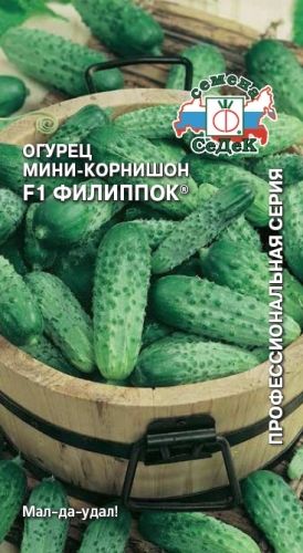 Огурец Филиппок F1 партен, среднеранний, 6-8см, мини-корнишон 0,3гр Седек/ЦВ 1/10