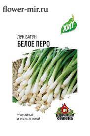 Лук на зелень/батун Белое Перо ранннеспелый, полуострый ХИТ 0,5гр Гавриш/ЦВ