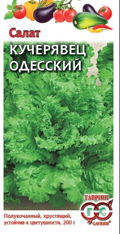 Салат Кучерявец Одесский полукочанный, среднеспелый ХИТ 0,5гр Гавриш/ЦВ