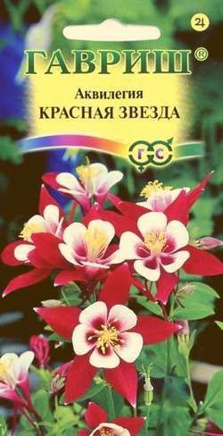 Аквилегия Красная Звезда бело-красная с яркими красными шпорцами, 50см 0,1гр Гавриш/ЦВ