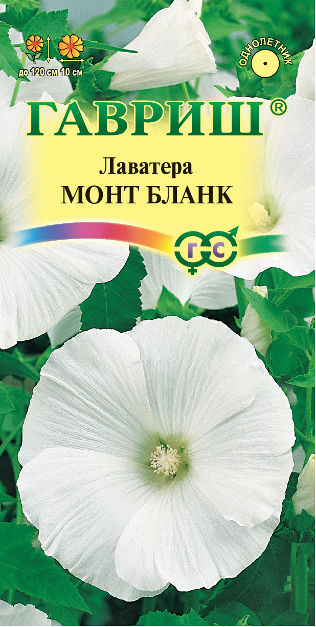Лаватера Монт Бланк снежно-белая, до 120см, однол 0,3гр Гавриш/ЦВ