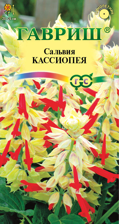 Сальвия Кассиопея карликовая, бело-красная, 20-25см, однол, 4шт Гавриш/ЦВ