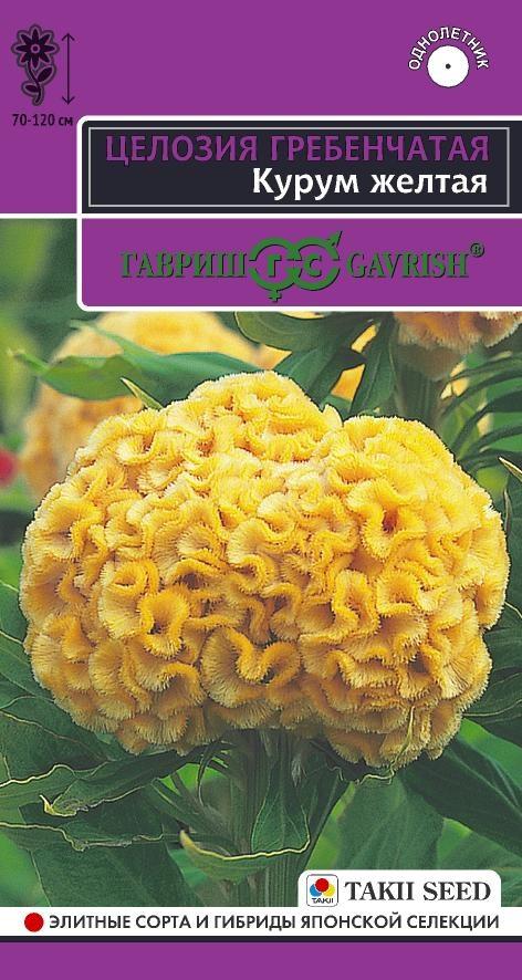 Целозия гребенчатая Курум Желтая 70-120см, однол 8шт Гавриш/ЦВ