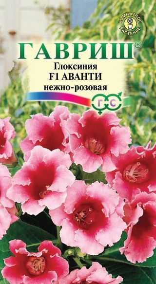 Глоксиния Аванти Нежно-розовая F1 5шт Гавриш/ЦВ