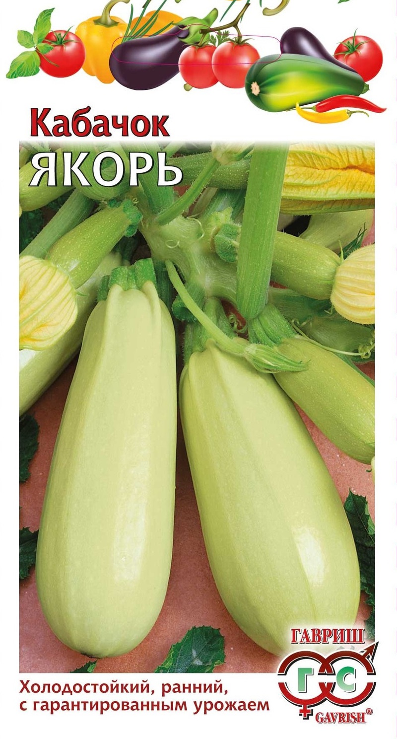 Кабачок Якорь среднеспелый, светло-зеленый, куст 1,5гр Гавриш/БП